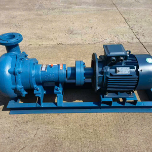 Bơm hút bùn cát bơm hố móng trục ngang NSB